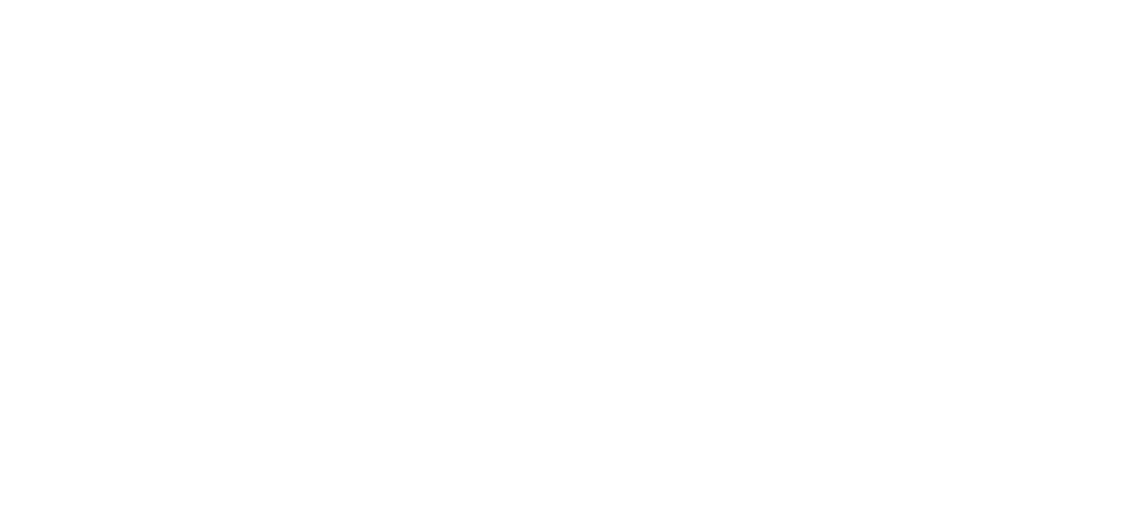 Euler Software